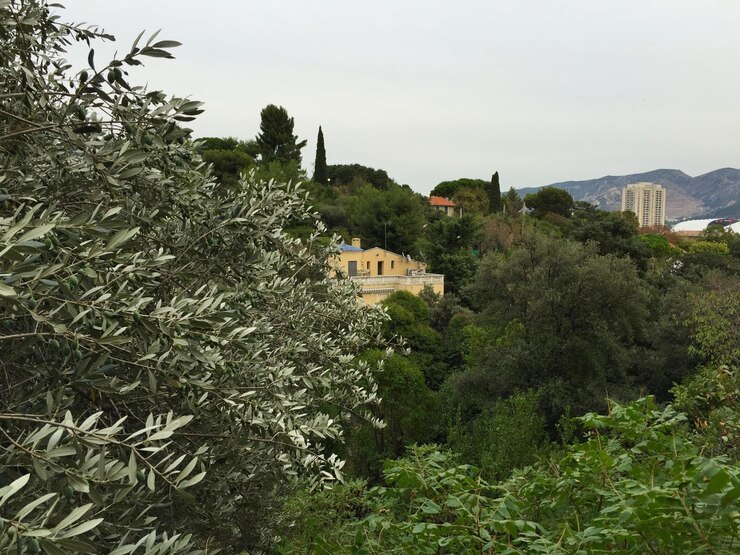 Esperienze Via del Gusto